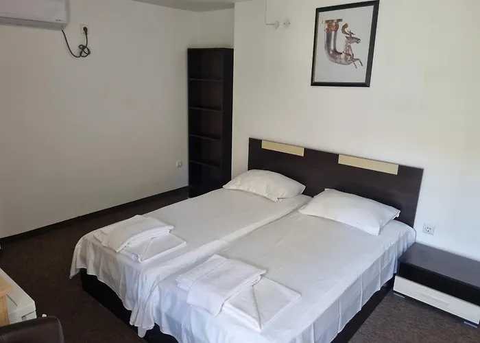 Trakia Guest house 4*